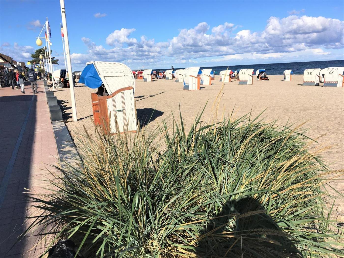 Dahmer Strand 18 Muschelhus מראה חיצוני תמונה
